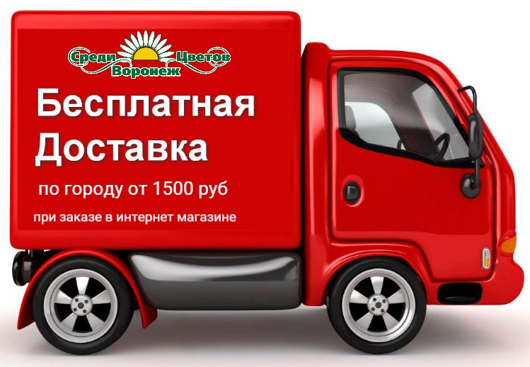 баннер.jpg баннер.jpg